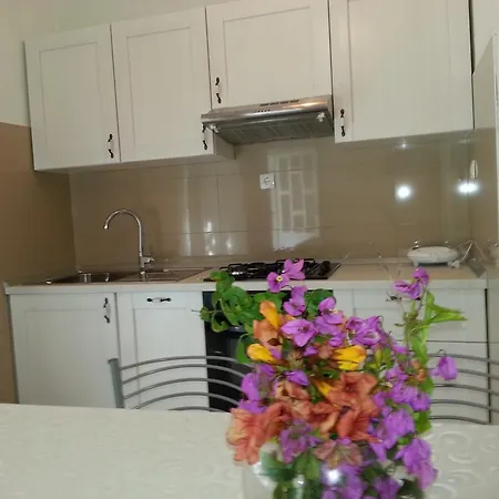 Apartment Rino *