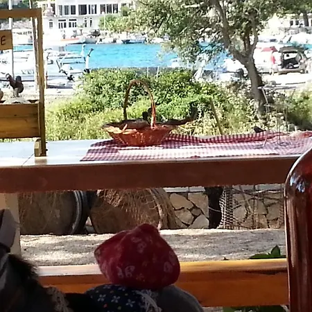 Rino דירה