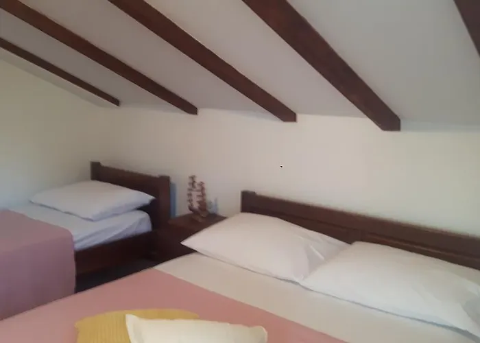 Rino רוגוזניצה